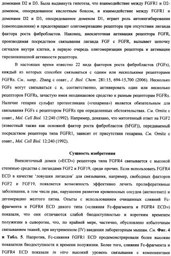 Мутеины кислотной зоны внеклеточного домена рецептора фактора роста фибробластов (патент 2509774)