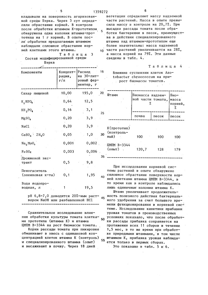 Штамм аzотовастеr снrоососсu @ для получения бактериального удобрения под томаты (патент 1359272)