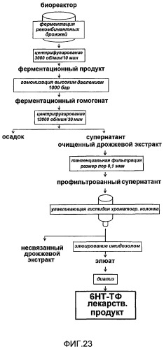 Микровезикулы, полученные из рекомбинантных дрожжей, обладающие гемостатическими активностями, и их применение (патент 2492184)