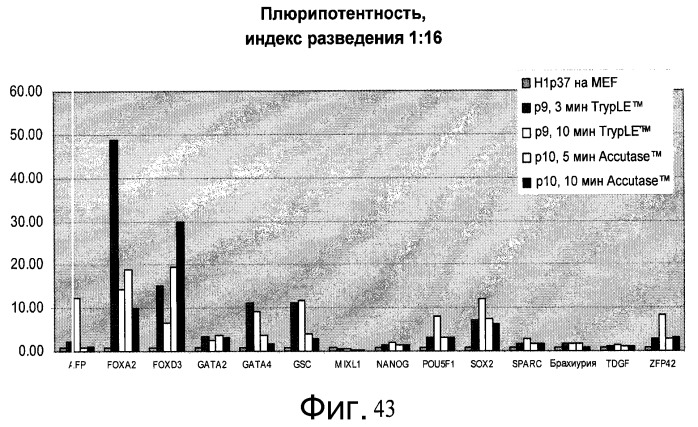Культура плюрипотентных стволовых клеток на микроносителях (патент 2555538)