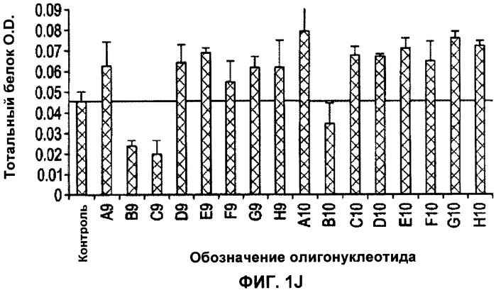 Лечение пролиферативных заболеваний с использованием антисмыслового олигомера iap и химиотерапевтического препарата (патент 2376018)
