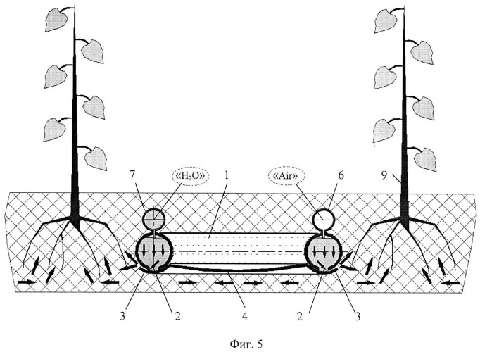 Способ капиллярного орошения из закрытого грунта плодовых деревьев и виноградника (вариант русской логики - версия 1) (патент 2532338)