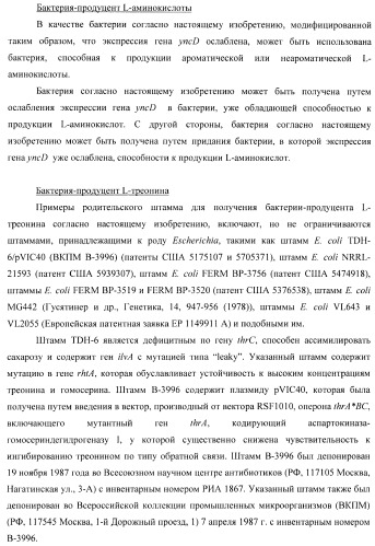 Способ получения l-треонина с использованием бактерии, принадлежащей к роду escherichia, в которой инактивирован ген yncd (патент 2396337)