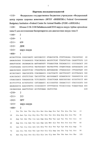 Штамм o №2108/забайкальский/2010 вируса ящура aphtae epizooticae типа о для изготовления биопрепаратов для диагностики ящура типа о (патент 2575801)