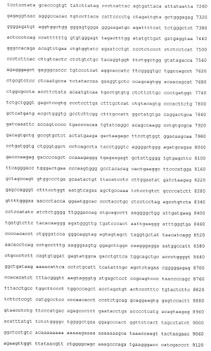 Анти-глипикан 3-антитело, имеющее модифицированную сахарную цепь (патент 2451030)