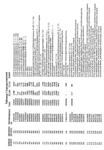 Гены corynebacterium glutamicum, кодирующие белки, участвующие в метаболизме углерода и продуцировании энергии (патент 2321634)