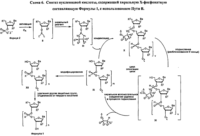 Способ синтеза модифицированных по атому фосфора нуклеиновых кислот (патент 2572826)