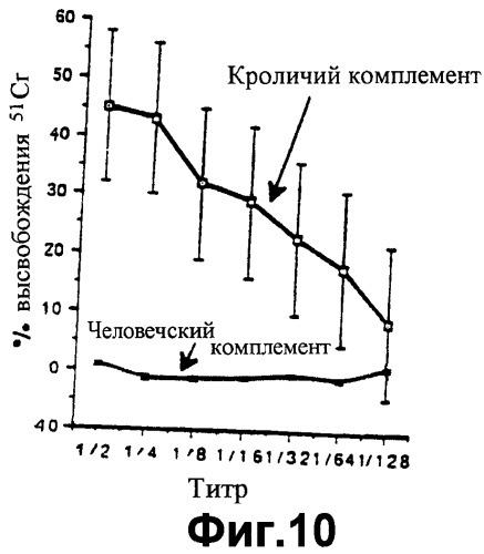 Способ получения трансгенного животного (патент 2252533)
