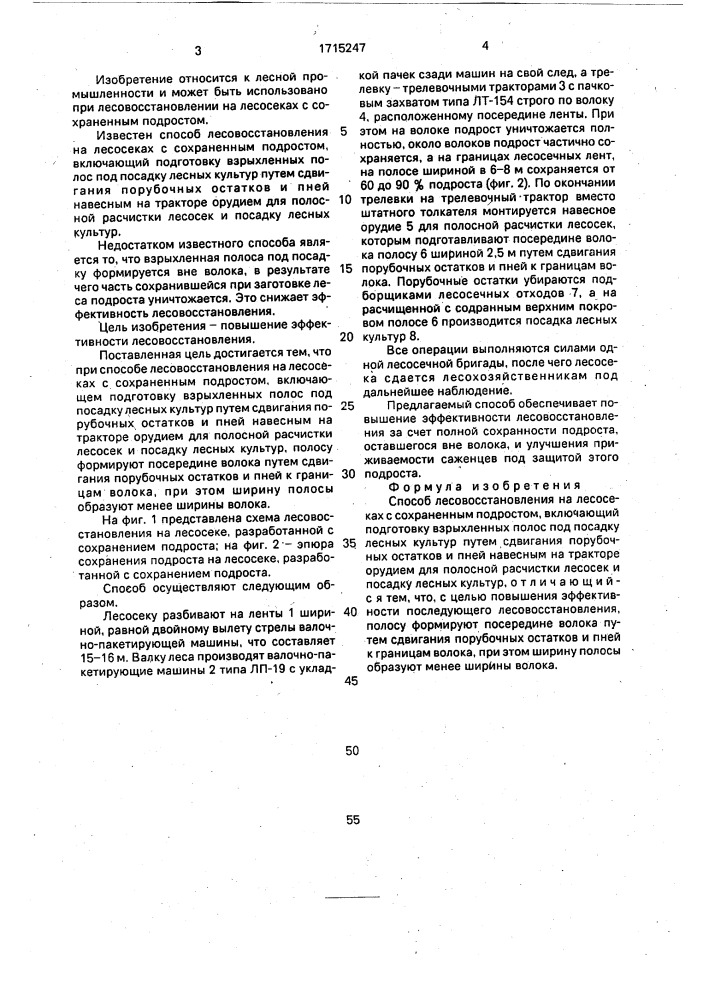 Способ лесовосстановления на лесосеках с сохраненным подростом (патент 1715247)