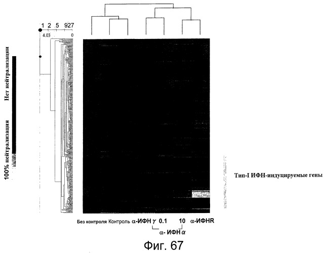 Фармакодинамические маркеры, индуцированные интерфероном альфа (патент 2527068)