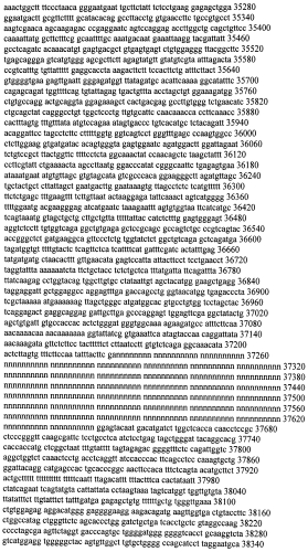 Модуляция экспрессии гентингтина (патент 2562861)