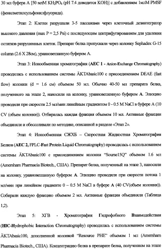 Новая альдолаза, днк, кодирующая альдолазу, клетки, трансформированные днк, способ получения альдолазы и способ получения 4-гидрокси-l-изолейцина (варианты) (патент 2338784)