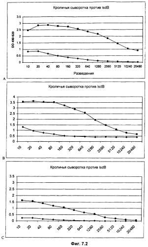 Иммуногенная композиция для применения в вакцинации против стафилококков (патент 2419628)