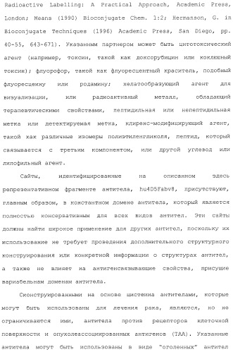 Антитела, сконструированные на основе цистеинов, и их конъюгаты (патент 2412947)