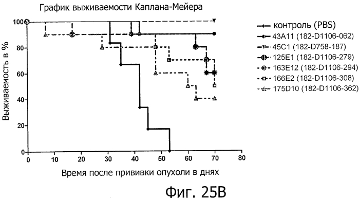Моноклональные антитела против клаудина-18 для лечения рака (патент 2571923)