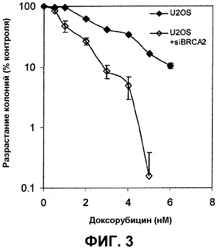 Способы применения sns-595 для лечения субъектов с онкологическими заболеваниями, имеющих сниженную активность brca2 (патент 2558835)