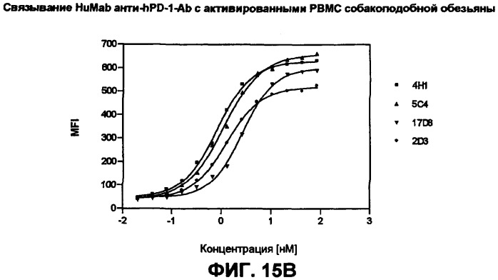 Моноклональные антитела человека к белку программируемой смерти 1 (pd-1) и способы лечения рака с использованием анти-pd-1-антител самостоятельно или в комбинации с другими иммунотерапевтическими средствами (патент 2406760)