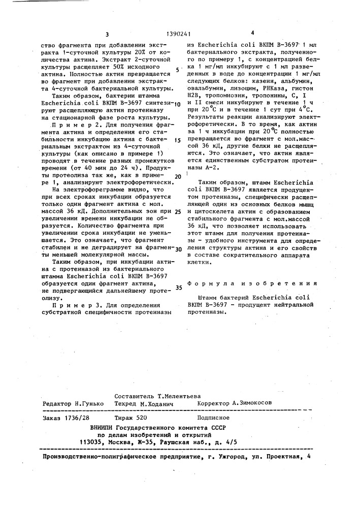 Штамм бактерий еsснеriснiа coli - продуцент нейтральной протеиназы (патент 1390241)