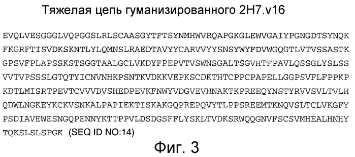 Способ лечения васкулита (патент 2411956)