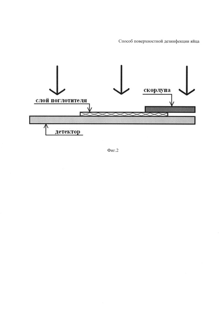 Способ поверхностной дезинфекции яйца (патент 2654622)