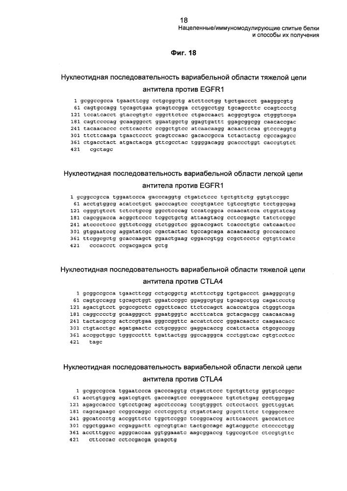 Нацеленные/иммуномодулирующие слитые белки и способы их получения (патент 2636342)