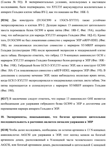 Набор последовательностей для таргетинга экспрессии и контроля посттрансляционных модификаций рекомбинантного полипептида (патент 2481399)