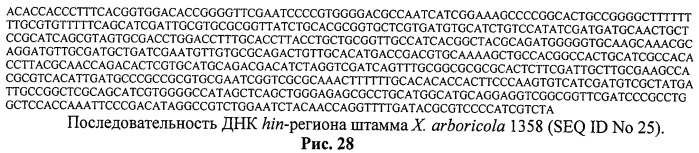 Способ идентификации и дифференциации прокариотических организмов (патент 2486251)