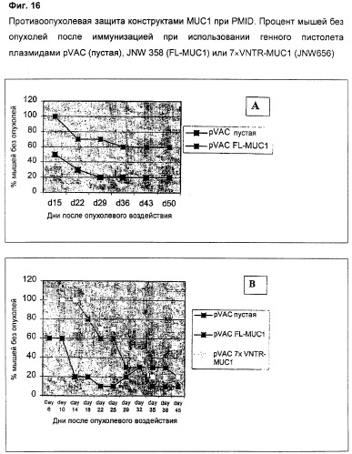 Антиген muc1 со сниженным числом повторяющихся vntr-блоков (патент 2303069)