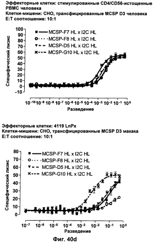 Pscaxcd3, cd19xcd3, c-metxcd3, эндосиалинxcd3, epcamxcd3, igf-1rxcd3 или fap-альфаxcd3 биспецифическое одноцепочечное антитело с межвидовой специфичностью (патент 2547600)