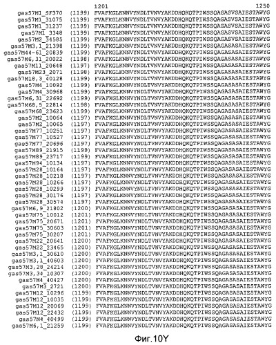 Мутантные антигены gas57 и антитела против gas57 (патент 2471497)