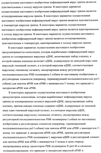 Способы и композиции для экспрессии антисмысловой вирусной рнк в клетках собаки (патент 2457250)