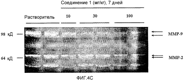 Модуляция воспалительных и метастатических процессов (патент 2377988)