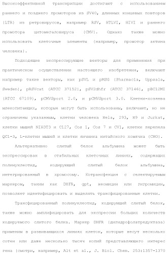 Слитые белки альбумина (патент 2369404)