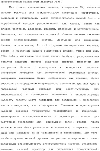 Scfv против egfrviii с улучшенной цитотоксичностью и выходом, иммунотоксины на их основе и способы их применения (патент 2317999)