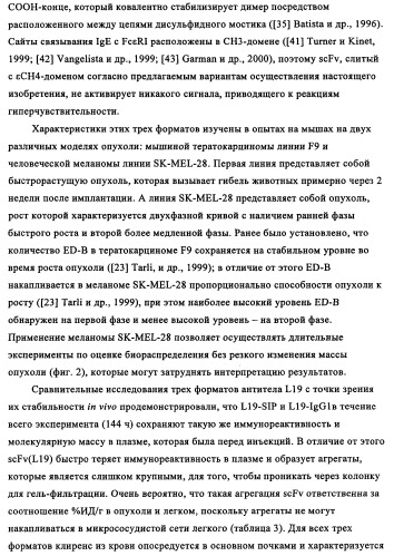 Избирательный направленный перенос в сосудистую сеть опухоли с использованием молекул антител (патент 2347787)