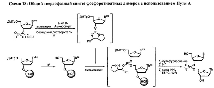 Способ синтеза модифицированных по атому фосфора нуклеиновых кислот (патент 2572826)