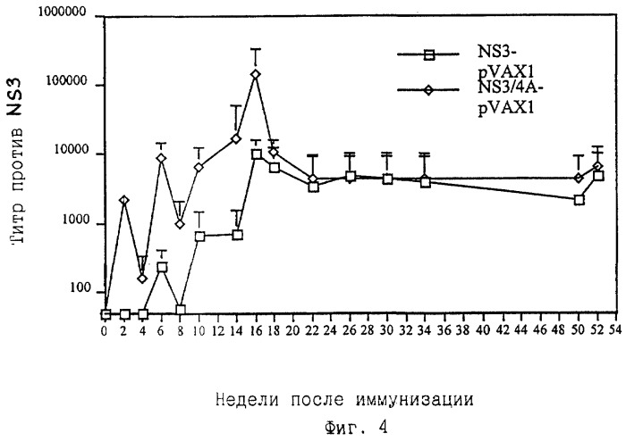 Вакцины, содержащие рибавирин, и способы их использования (патент 2286172)
