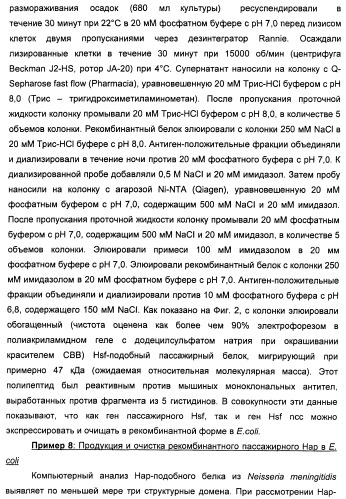 Нейссериальные вакцинные композиции, содержащие комбинацию антигенов (патент 2494758)