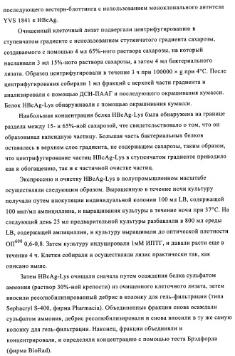 Композиции вакцин, содержащие наборы антигенов в виде амилоида бета 1-6 (патент 2450827)