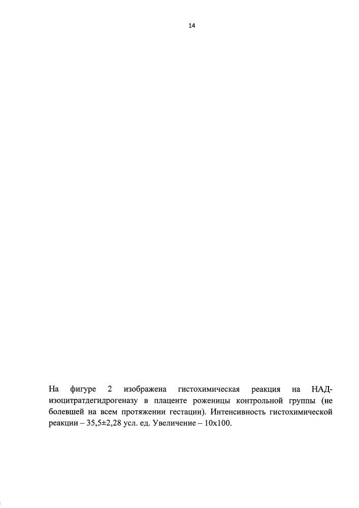 Способ оценки влияния цитомегаловирусной инфекции на активность над-зависимой изоцитратдегидрогеназы в синцитиотрофобласте ворсинок плаценты на третьем триместре беременности (патент 2597846)