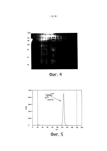 Синтез фукозилированных соединений (патент 2584599)