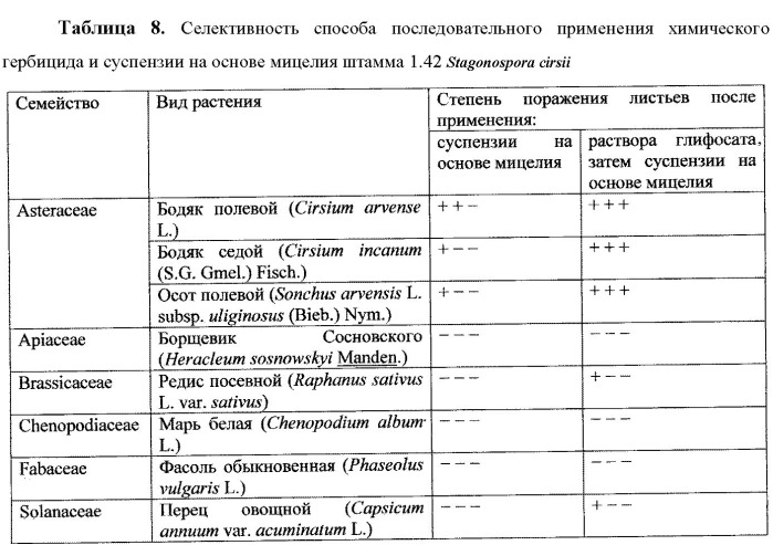 Способ борьбы с нежелательной травянистой растительностью класса dicotyledones (патент 2543665)