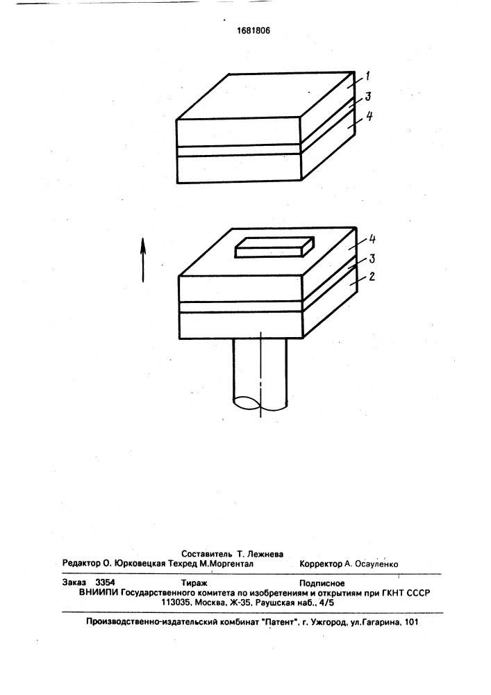 Способ изготовления гербария (патент 1681806)