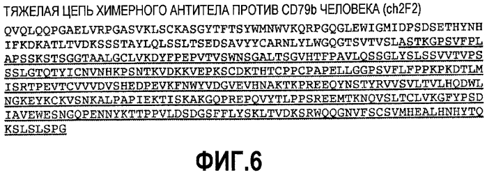 Гуманизированные антитела против cd79b и иммуноконъюгаты и способы применения (патент 2557319)