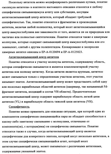 Избирательный направленный перенос в сосудистую сеть опухоли с использованием молекул антител (патент 2347787)