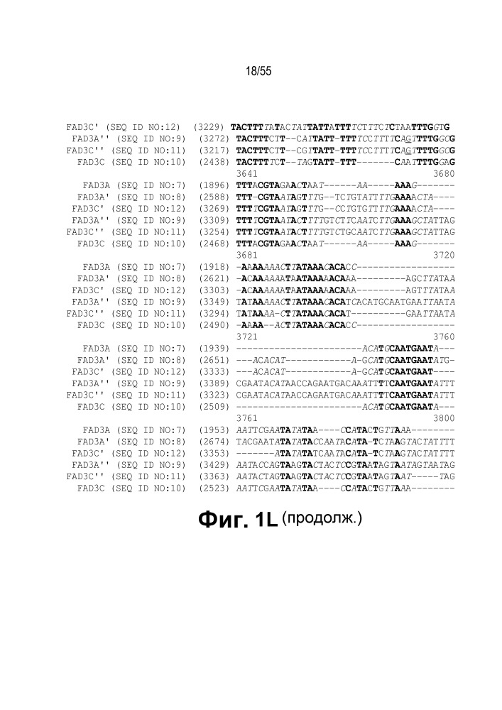 Локусы fad3 для выполнения операций и соответствующие связывающиеся со специфическими сайтами-мишенями белки, способные к вызову направленных разрывов (патент 2665811)