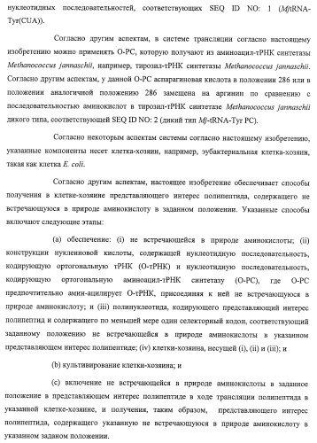 Система экспрессии компонентов ортогональной трансляции в эубактериальной клетке-хозяине (патент 2467069)