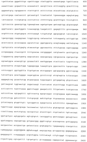 Фитаза, ее применение, корм и кормовая добавка для животных, содержащие ее (патент 2567000)