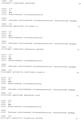 Стабильные иммуногенные композиции антигенов staphylococcus aureus (патент 2570730)