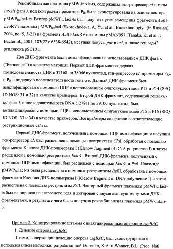 Способ получения l-треонина с использованием бактерии, принадлежащей к роду escherichia, модифицированной таким образом, что в ней нарушена способность к образованию ворсинок типа &quot;керли&quot; (патент 2338782)